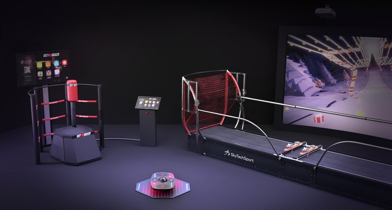 BalancePlay Pro balance-training board by SkyTechSport